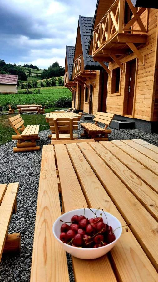 Motylowe Wzgorze Apartamenty Zawoz Exterior photo