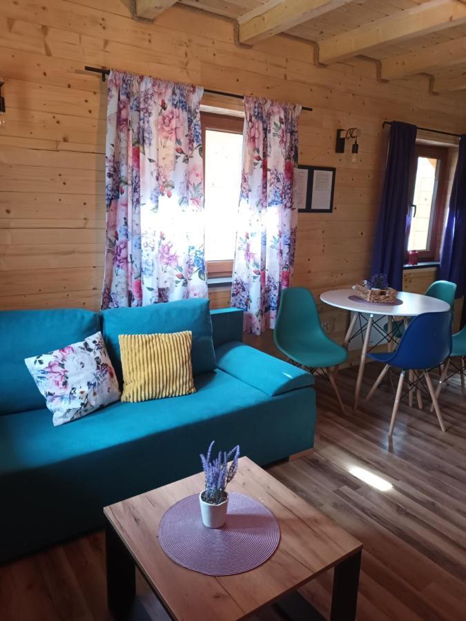 Motylowe Wzgorze Apartamenty Zawoz Exterior photo